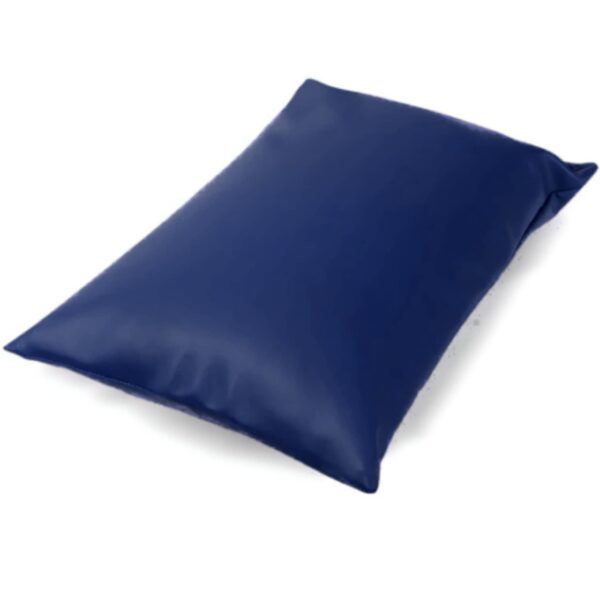 Hospital Pillow with Mackintosh Cover