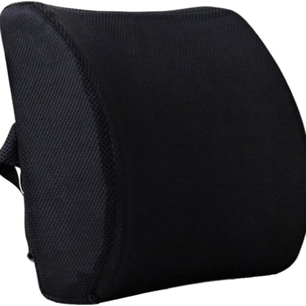 Lumbar/Back Cushion