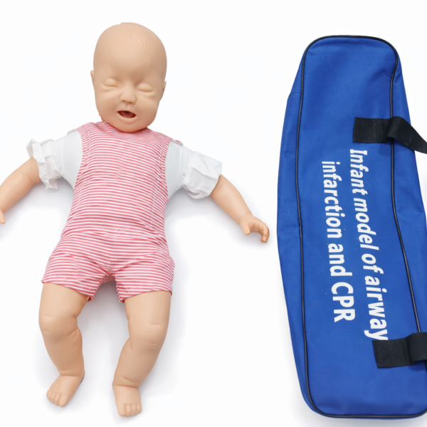 An Infant Airway Obstruction & CPR Training Model