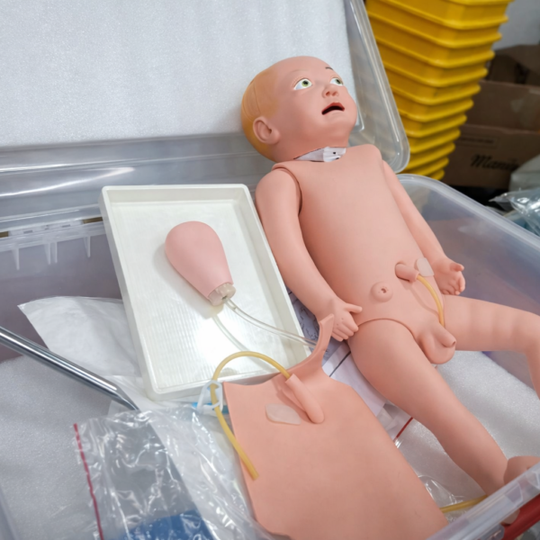A pediatric or Infant Male Catheterization Training Manikin