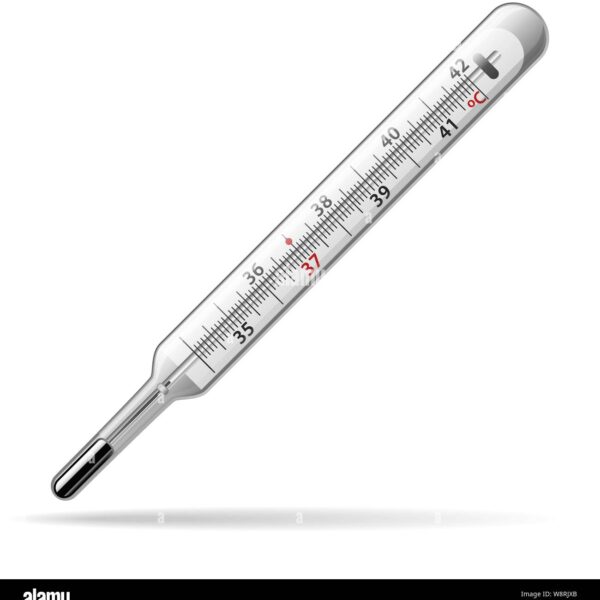 Mercury Thermometer