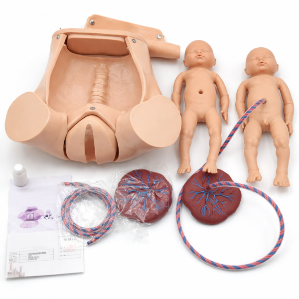 Childbirth Simulator Manikin